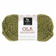 Ola raggegarn